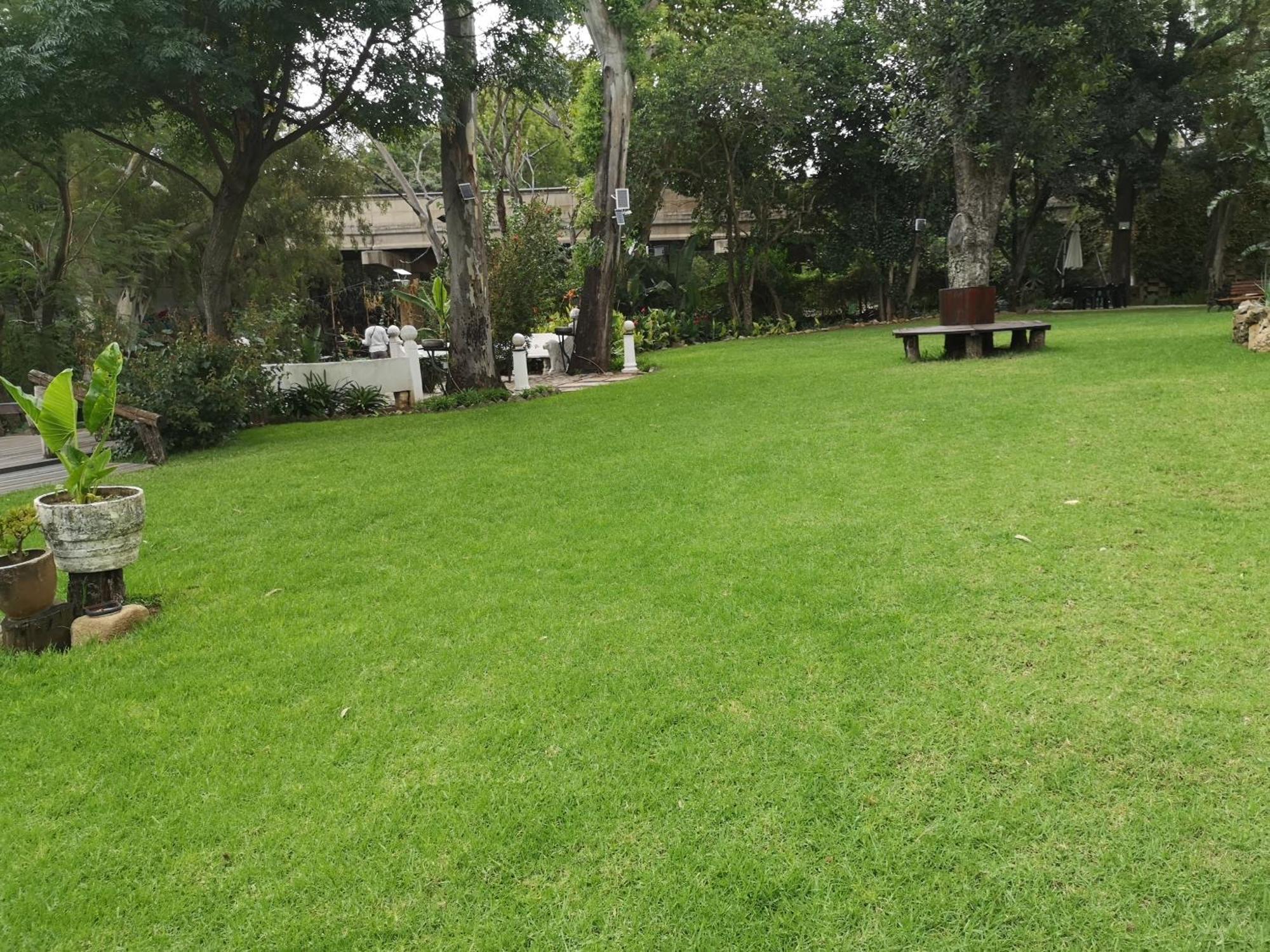 Lotus Guest House جوهانسبورغ المظهر الخارجي الصورة