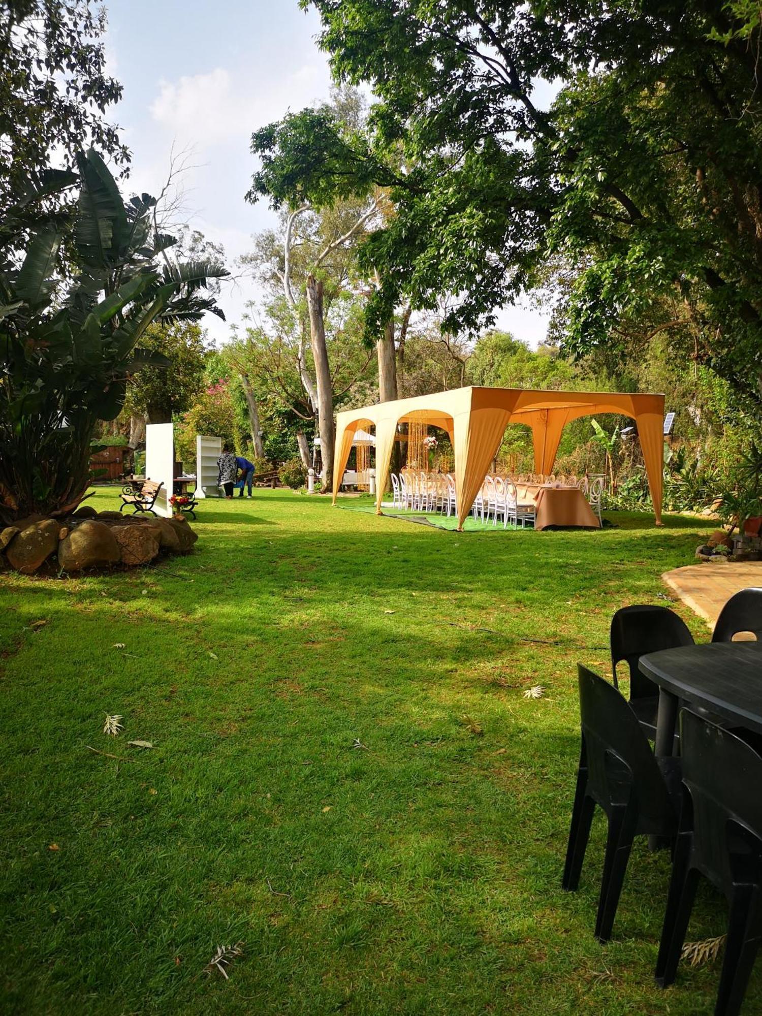 Lotus Guest House جوهانسبورغ المظهر الخارجي الصورة